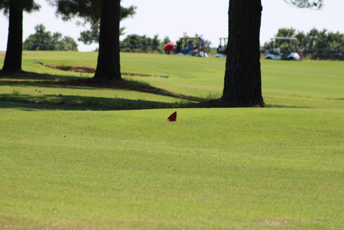 should-you-tee-up-on-par-3-tee-precision