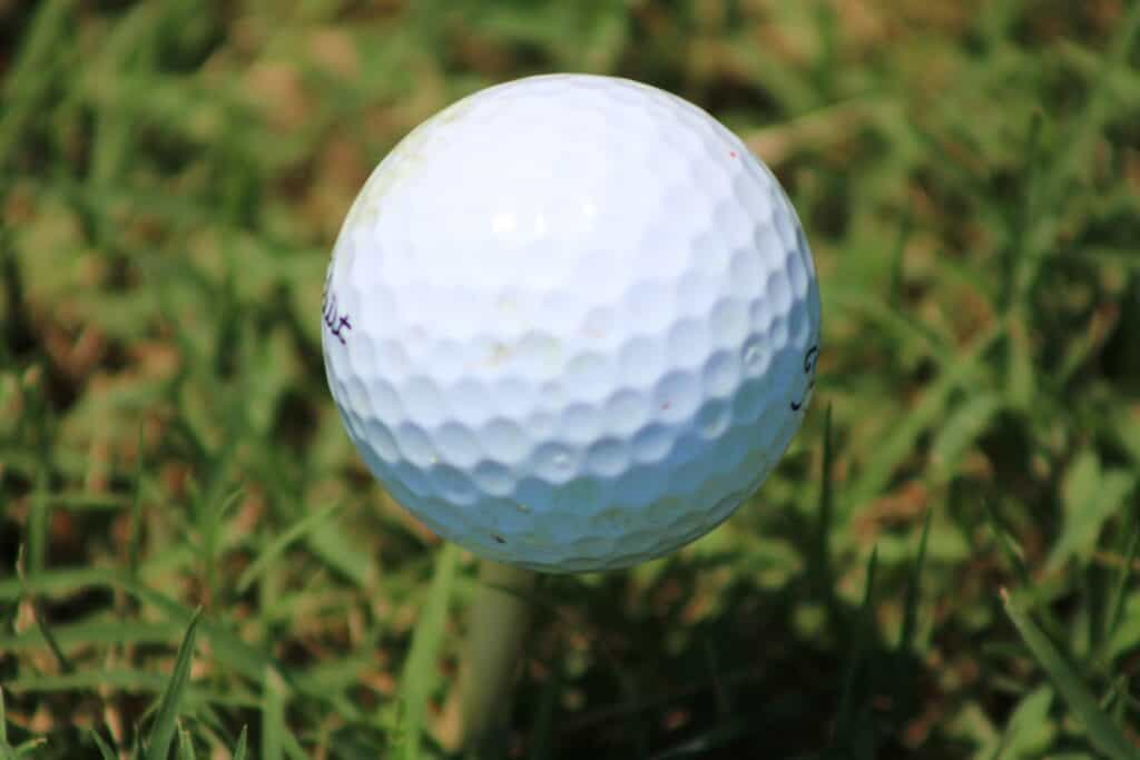 garmin golf app vs bushnell golf app