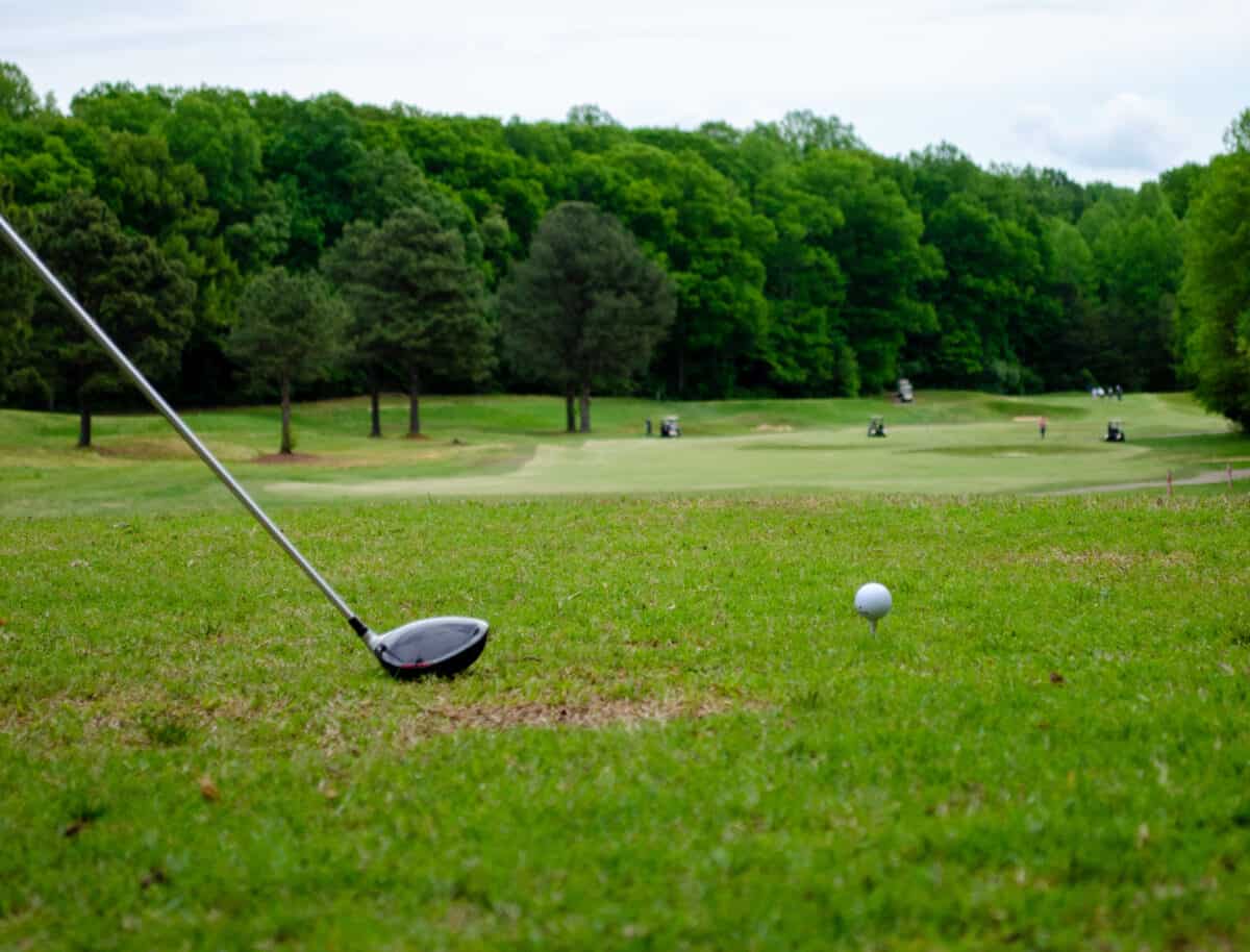 The Best Drivers For High Handicappers [2022 Updated]